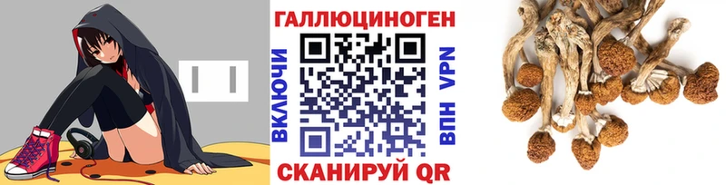 где купить наркотик  Кашира  Галлюциногенные грибы Magic Shrooms 